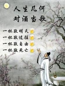 白居易酿酒的故事